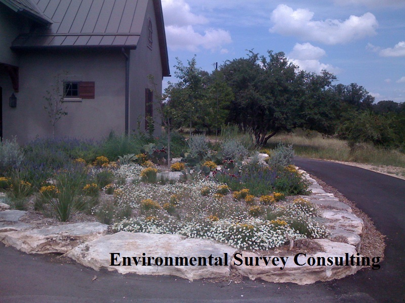 Environmental Survey Consulting 