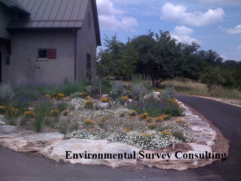 Environmental Survey Consulting Environmental Survey Consulting