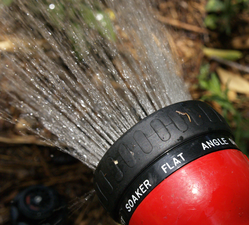 How to water How to water