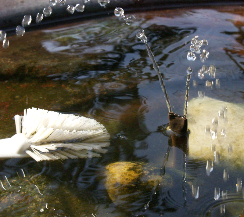 how to clean a bird bath