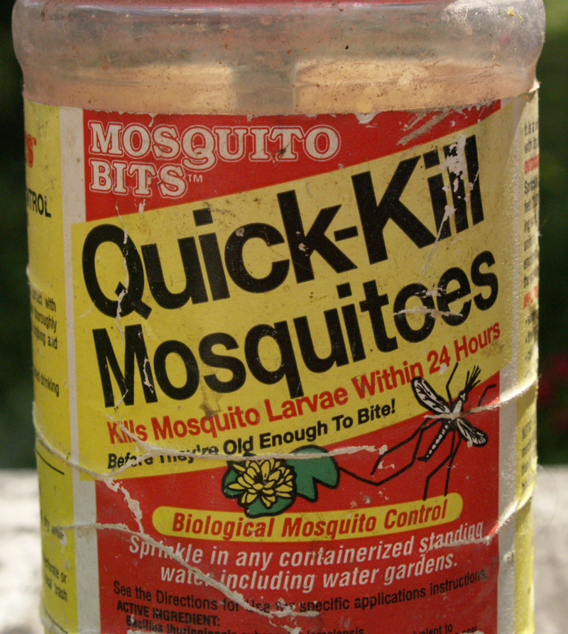 Mosquito Bits and Dunks Mosquito Bits and Dunks