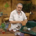 John Dromgoole succulent potting soils