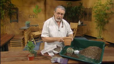 John Dromgoole succulent potting soils
