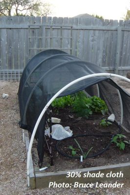 black shade cloth over PVC hoops garden bed. Text: 30% shade cloth