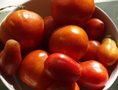 Tomatoes Central Texas Gardener from Sara Robertson