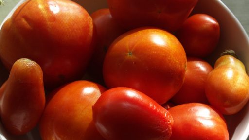 Tomatoes Central Texas Gardener from Sara Robertson