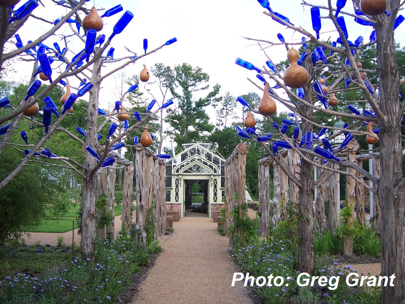 Bottle tree Heirloom Gardening in the South 