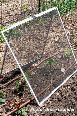 window screen to shade new plants