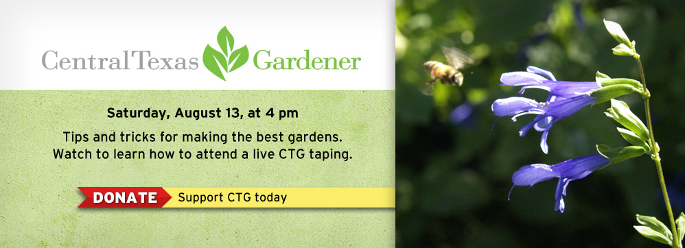 Central Texas Gardener Central Texas Gardener