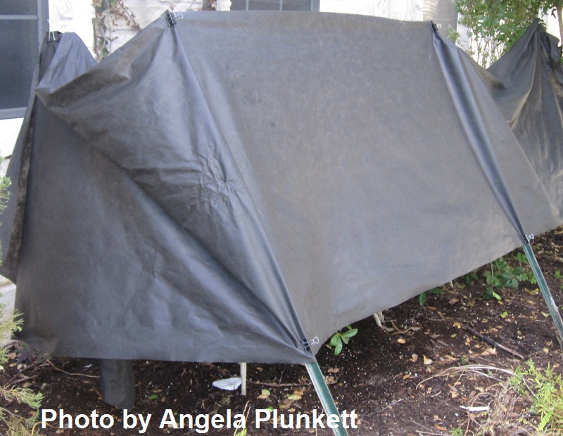 weed barrier fabric to shade plants Central Texas Gardener 