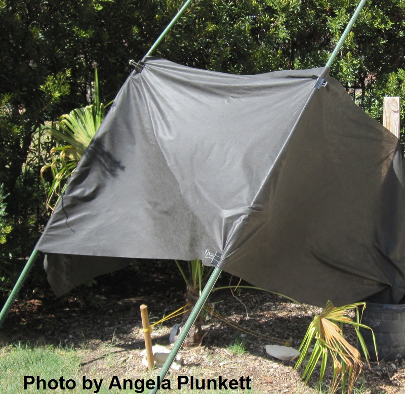 saving sun scalded plants with weed barrier cloth