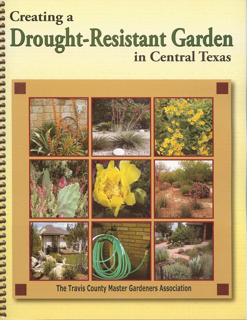 Creating a Drought-Resistant Garden in Central Texas