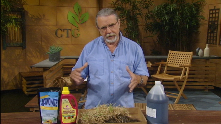 John Dromgoole lawn problems Central Texas Gardener 