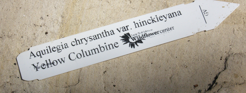 Plant tag variety Plant tag variety
