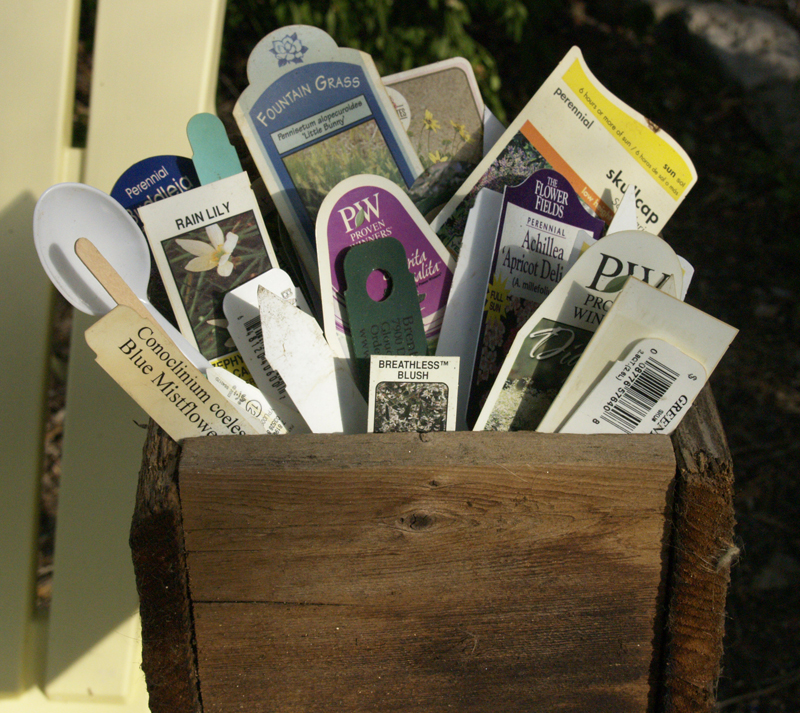 plant tags in pot 