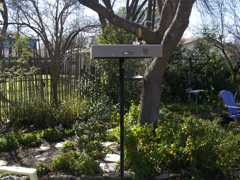  Platform bird feeder Central Texas Gardener 