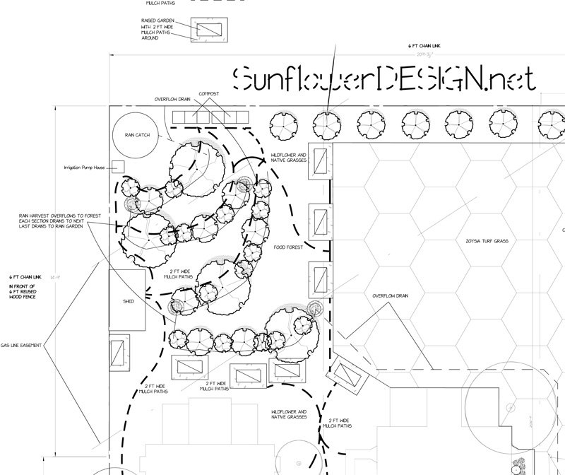 Adams Kirkpatrick Sunflower Design sustainable design 