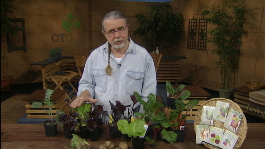 John Dromgoole late winter vegetables 