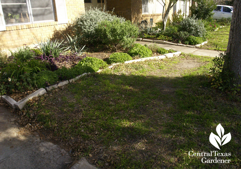 Lawn replace (c) Linda Lehmusvirta
