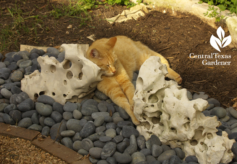 Sam on holey rock sculpture (c) Linda Lehmusvirta 