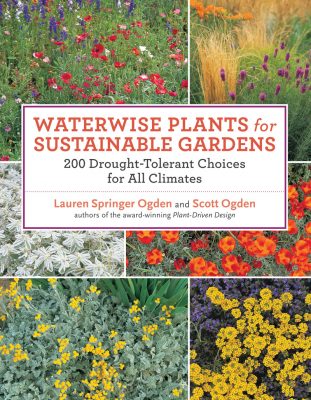 Ogdens' Waterwise Plants for Sustainable Gardens