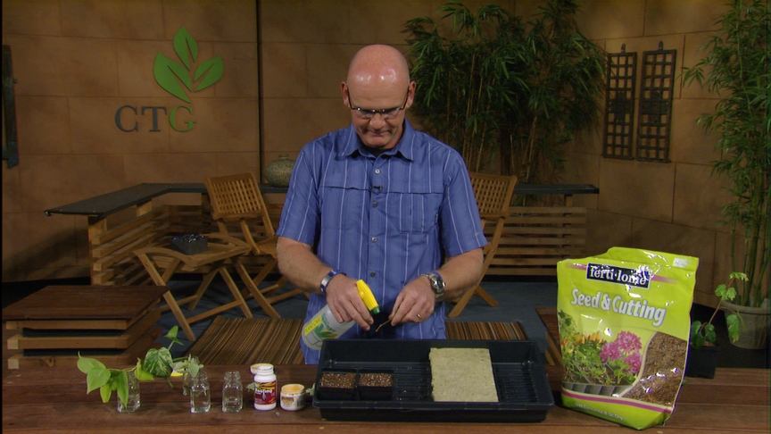 plant propagation with Merrideth Jiles, The Great Outdoors plant propagation with Merrideth Jiles, The Great Outdoors