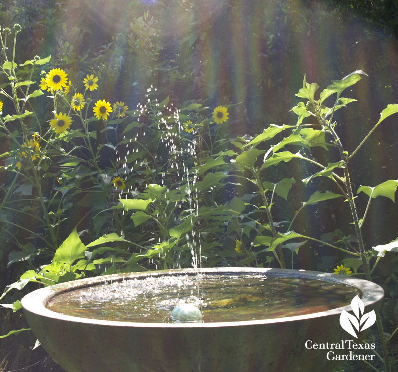 Variance Vessel bird bath with solar fountain Variance Vessel bird bath with solar fountain