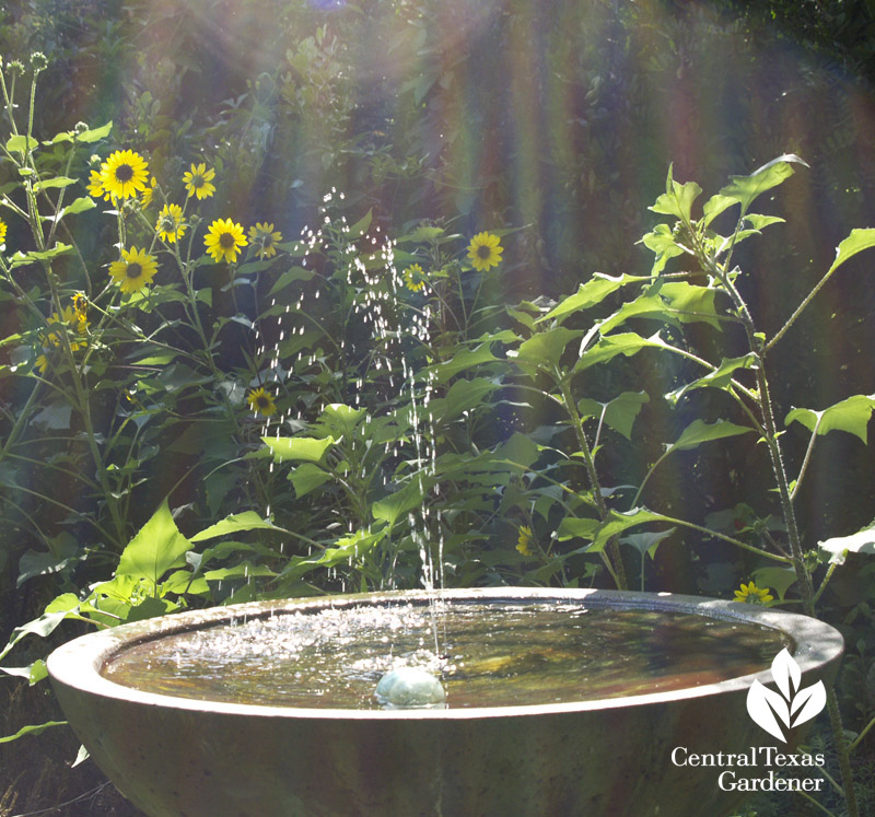 Variance Vessel bird bath with solar fountain