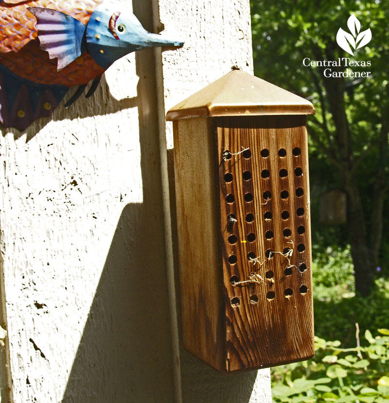 Mason bee house from Rootin' Ridge