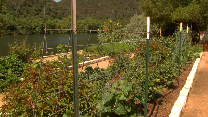 vegetable supports at Lake Austin Spa