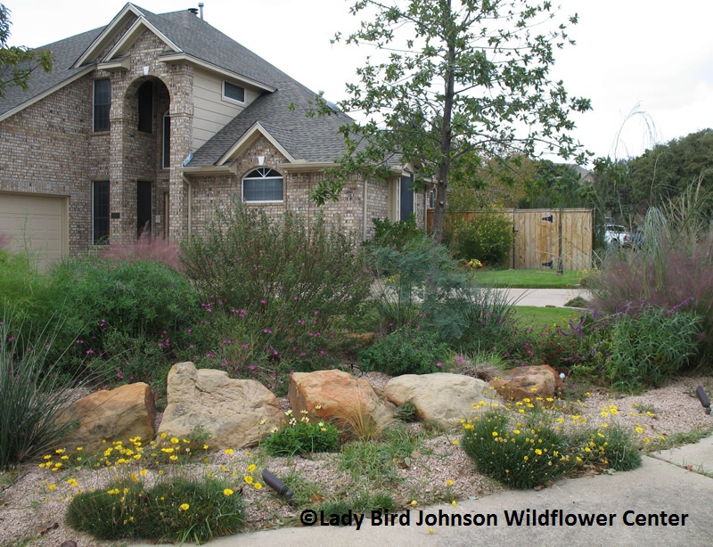 Zadook Woods Lady Bird Johnson Wildflower Center Gardens on Tour