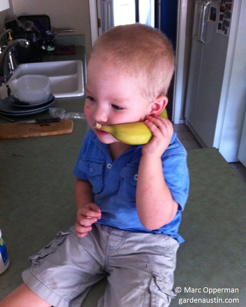 Child's banana phone (c) Marc Opperman Child's banana phone (c) Marc Opperman