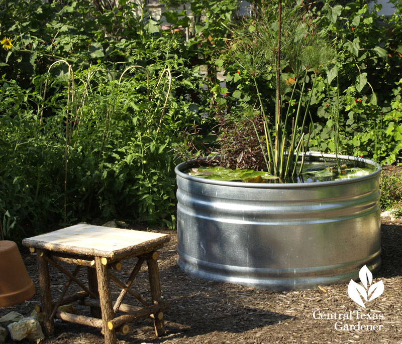 stock pond in vegetable and ornamental garden