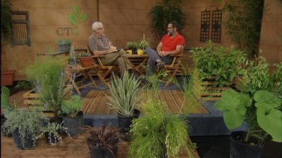 Tom Spencer and Jon Hutson at Central Texas Gardener