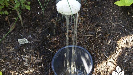 compost tea how-to