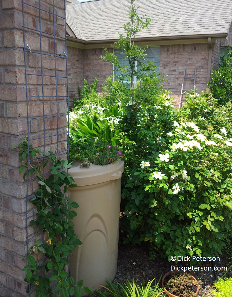 RainXchange rain barrel (c) Dick Peterson