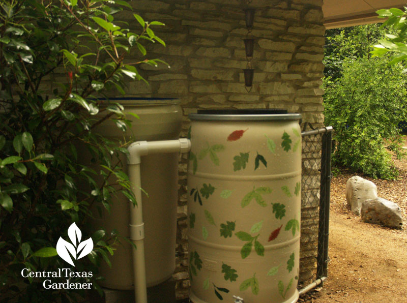 Hatch chile pepper barrel adapted as rain barrel Hatch chile pepper barrel adapted as rain barrel