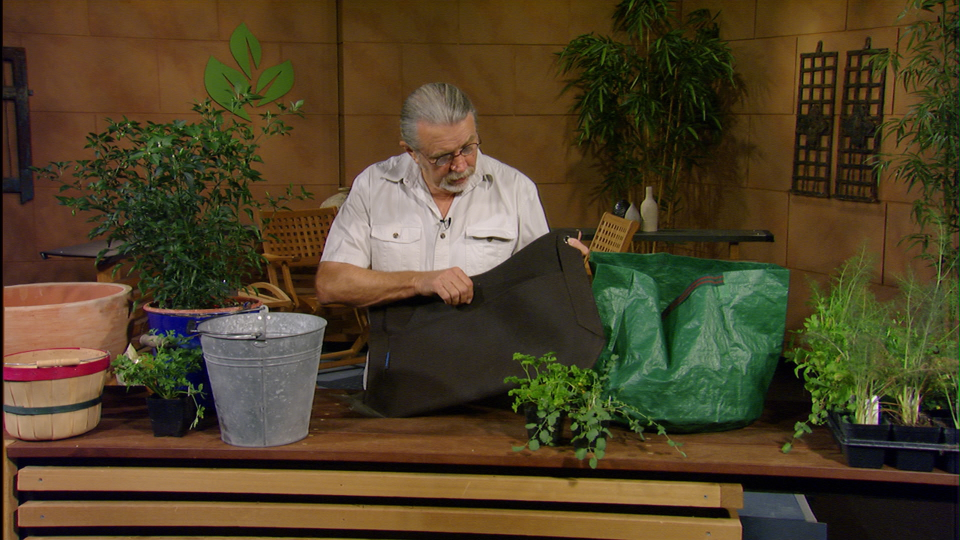 John Dromgoole vegetables in containers