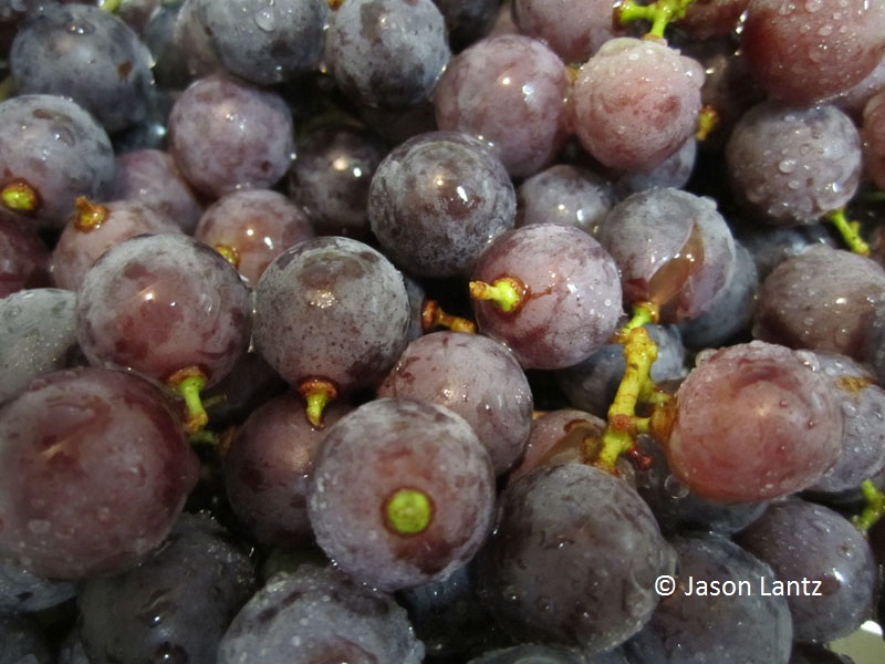 Black Spanish grapes