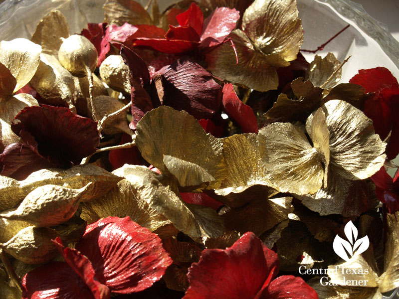 Butterfly vine seed pods as Christmas ornaments