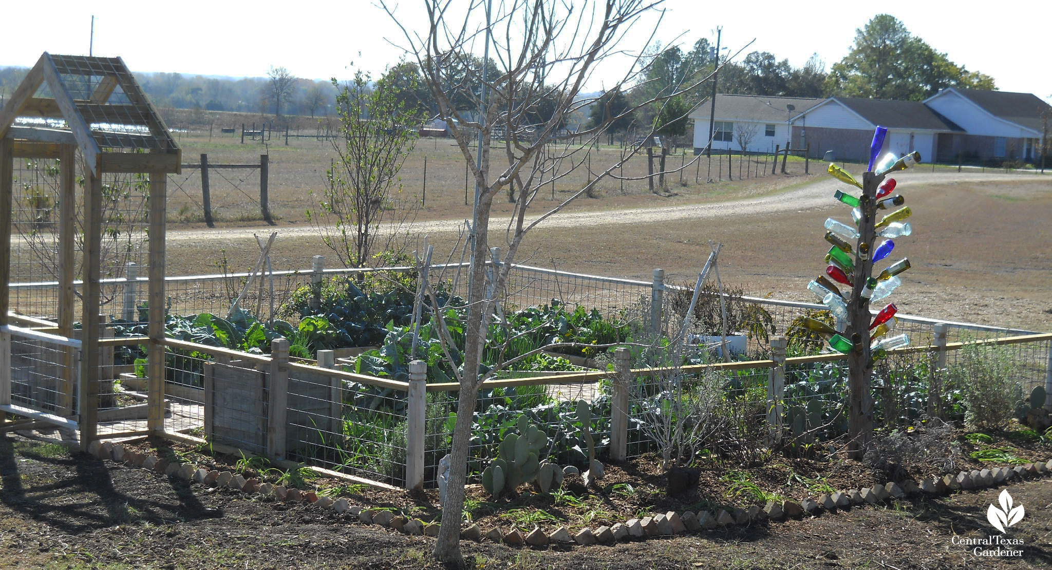 Brenham potager Central Texas Gardener