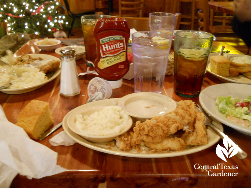 fried chicken at JW's Steakhouse