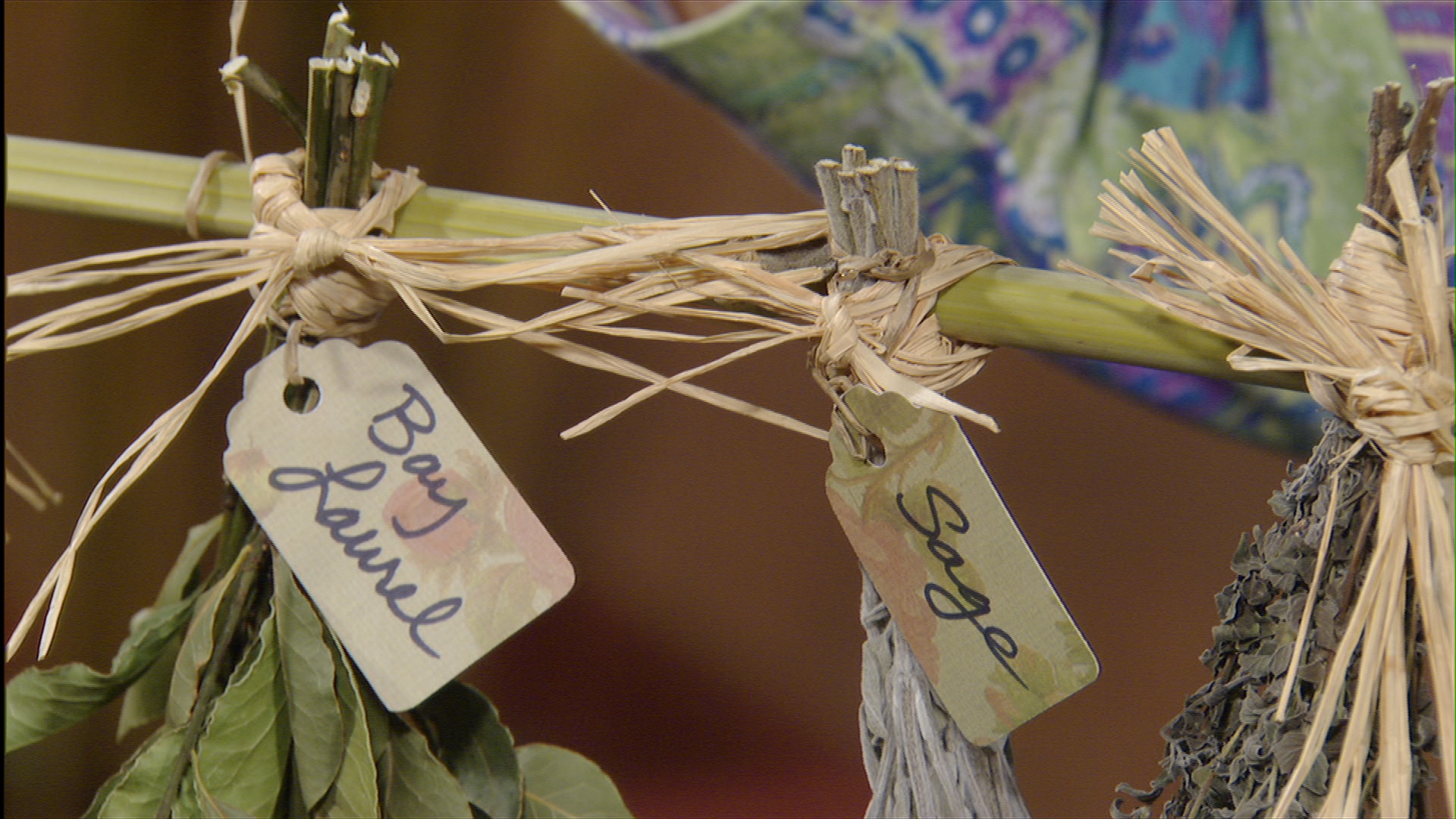 Dried herbs cute