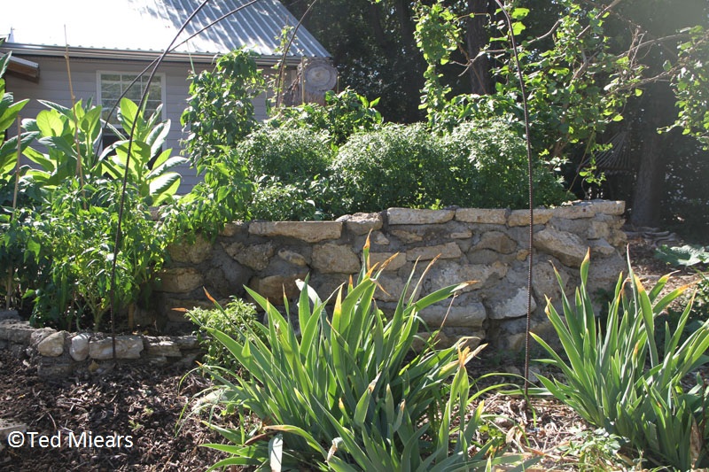 Keyhole garden design (c) Ted Miears Keyhole garden design (c) Ted Miears