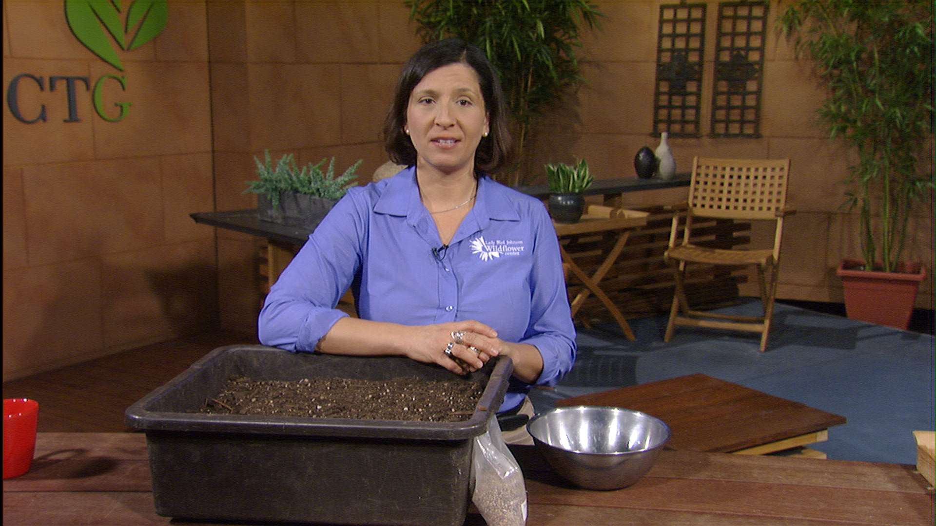 plant bluebonnet seeds