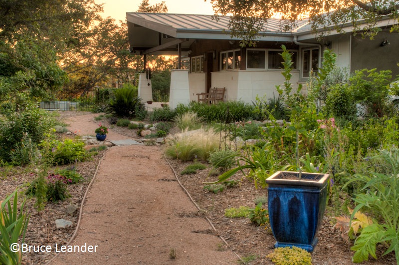 No lawn backyard habitat 