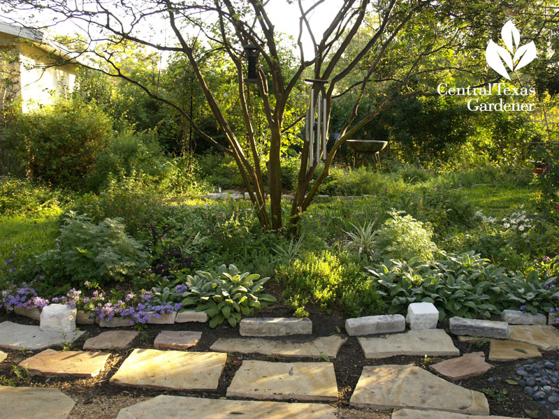 Linda's new garden no lawn Linda's new garden no lawn
