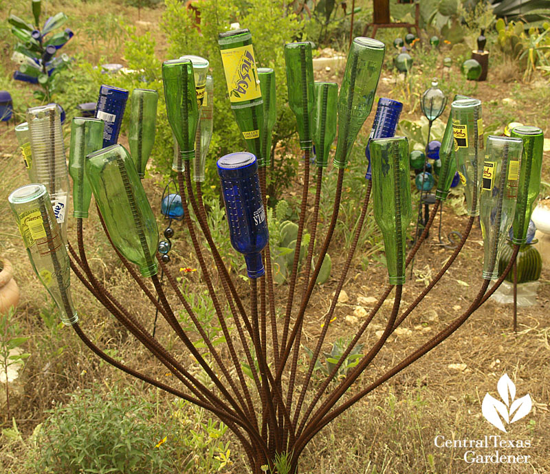 Healing garden bottle tree