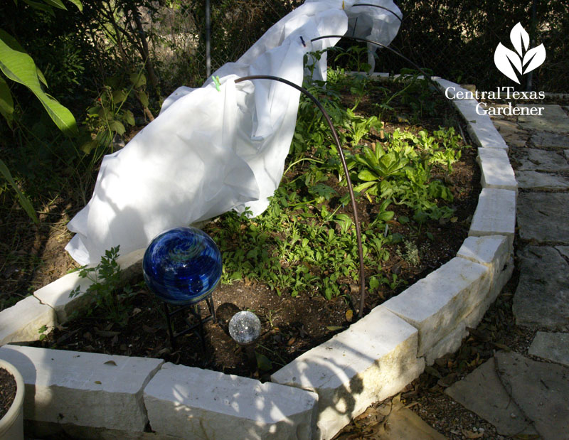 Vegetable bed with 6x6 dry stack 