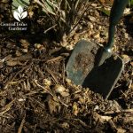 soil compost mulch
